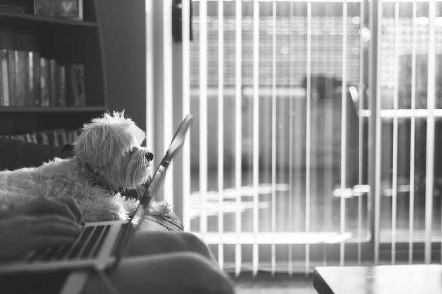 Personal Statement | William CW Chen, MD, PhD